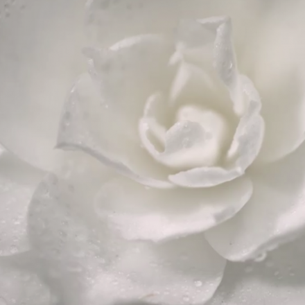 Les Couleurs – Inside CHANEL (VF)