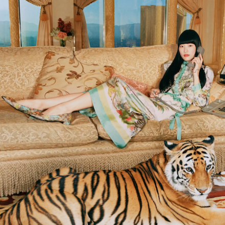 Year of the Tiger collections
